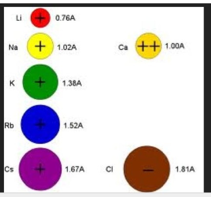 AR Trigger to Cation and Anion Activity